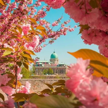 D35 - Chic Boutique By Bqa Apartment *